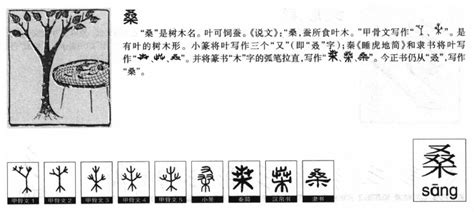 桑的意思|便宜或贵，不是这样算账的 今天在论坛上，看到有一。